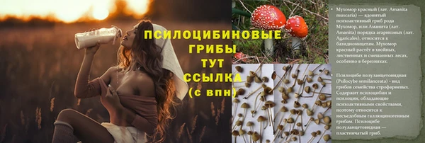дмт Абинск