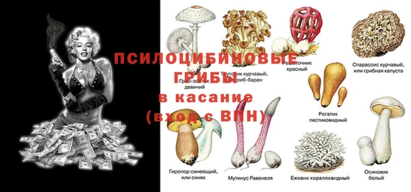 спиды Абаза