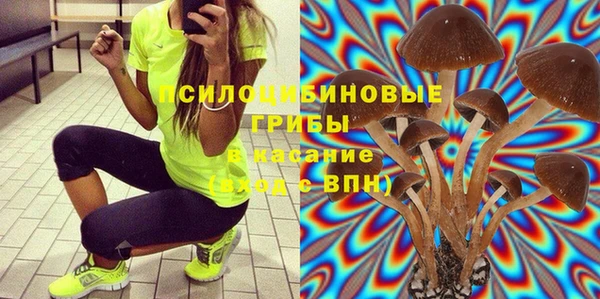дмт Абинск
