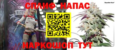 тгк Новодвинск
