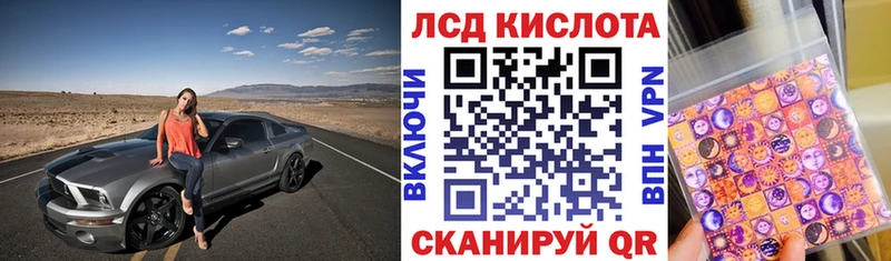 даркнет сайт  Шадринск  Марки 25I-NBOMe 1500мкг 