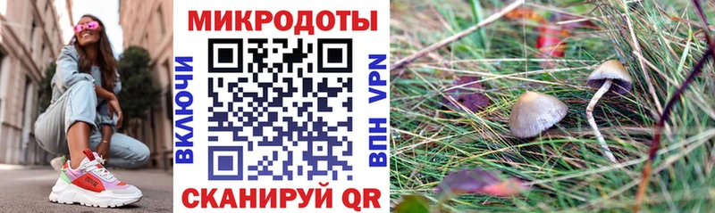Галлюциногенные грибы Magic Shrooms  сколько стоит  Шадринск 