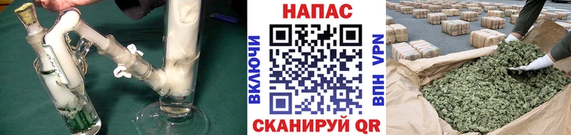 KRAKEN как войти  где можно купить наркотик  Шадринск  Бошки марихуана семена 